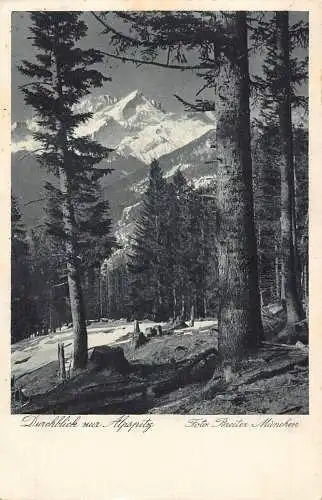A068 Deutschland Durchblick zur Alpspitz Wald Berg Vintage Postkarte