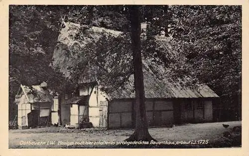 A066 Deutschland 1947 Ostbevern i W Einziges Bauernhaus Haus Wald Postkarte