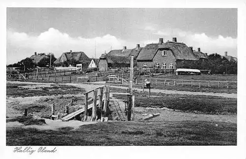L183 Deutschland Hallig Oland Häuser Vintage Postkarte