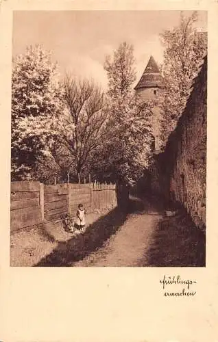 L339 Deutschland 1932 Donaueschingen Frühlings Erwachen Mädchen Blühender Baum Postkarte