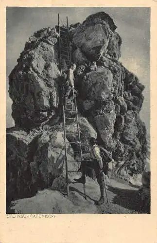 L182 Deutschland Steinschartenkopf Mann Kletterleiter Klippe Vintage Postkarte