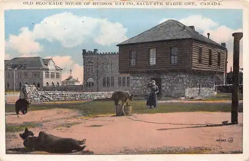 A893 Kanada altes Blockadehaus Hudson Bay Co Sault Ste Marie Bears Ont Postkarte