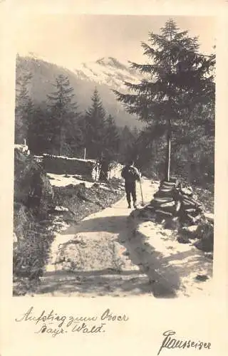 L182 Deutschland Aufsting Osocr Bayr Wald Hausseiger Mann zu Fuß Vintage Postkarte