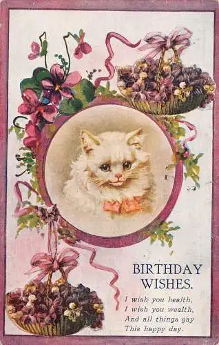 A909 Geburtstagsgrüße 1920 Perserkatze Veilchen Blumen Korb Postkarte