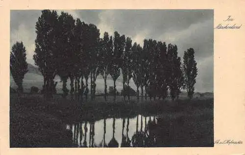 L184 Deutschland Im Maerchenland Mondschein Hofmeister Bäume Vintage Postkarte