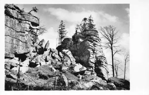 L183 Deutschland Felspartie in Naehe des Waldhauses Steinwald Vintage Postkarte