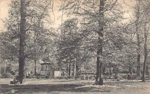 A889 England 1905 Tunbridge Wells The Grove Vintage Postkarte