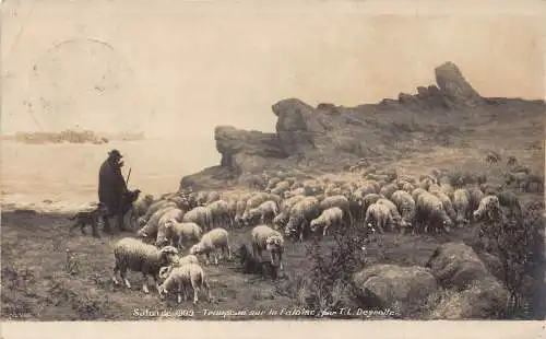 A091 Ausstellung 1909 Schafherde auf Klippe Schäferhund mit Hund Vintage Postkarte