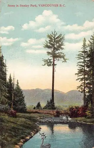 A916 Kanada Szene im Stanley Park Vancouver BC Schwäne Vintage Postkarte