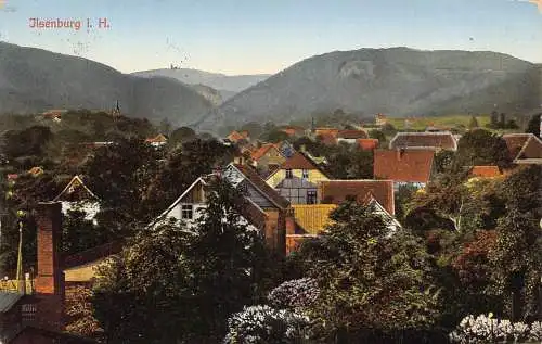Deutschland 1913 Ilsenburg i Harz Gesamtansicht Vintage Postkarte