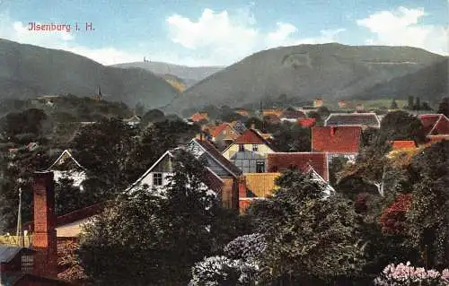 Deutschland Ilsenburg i Harz Gesamtansicht Vintage Postkarte
