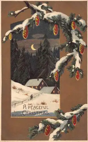 A898 Weihnachten Passepartout Mondscheinhaus Tannenzapfen Feststellpostkarte