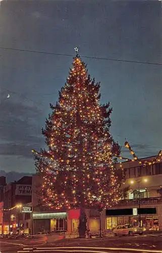A900 US Champion Christmas Tree Tacoma Washington 1972 Vintage Postkarte