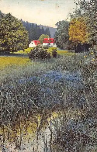 A090 Landschaft 1914 Frühlingsblumen Wald Bäume Hütte Bisingen Postkarte