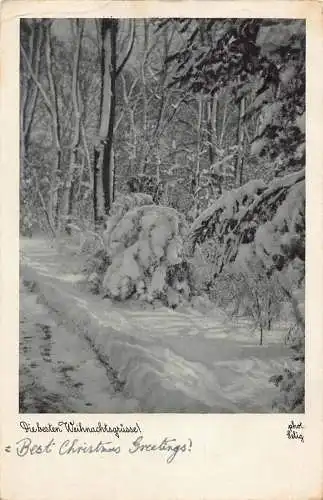 A089 Weihnachtsgrüße 1933 Wald Winter Landschaft Vintage Postkarte