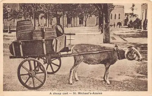 A926 Portugal Azoren St Michael Ein Ziegenwagen Vintage Postkarte