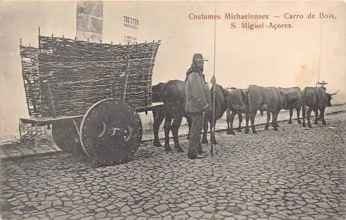 A927 Portugal St Miguel Azoren Tracht Carro Bois Ochsenwagen Postkarte