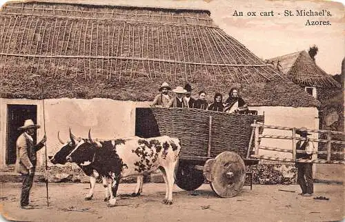 A927 Portugal St Michael Azoren Ochsenkarre Bauern Ethno Vintage Postkarte