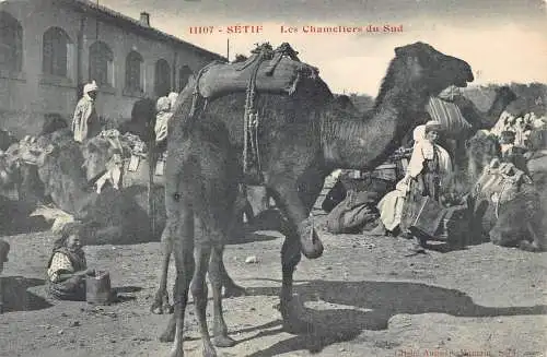 A928 Algerien Setif Les Chameliers du Sud Kamel Junge Ureinwohner Männer Ethno Postkarte