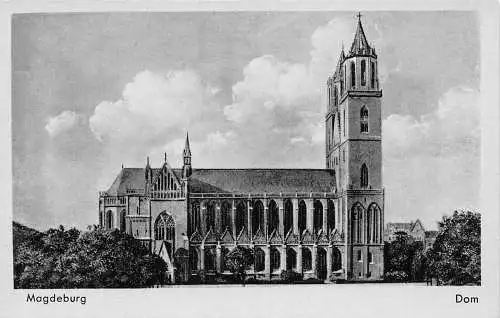 L264 Deutschland Magdeburger Dom Vintage Postkarte
