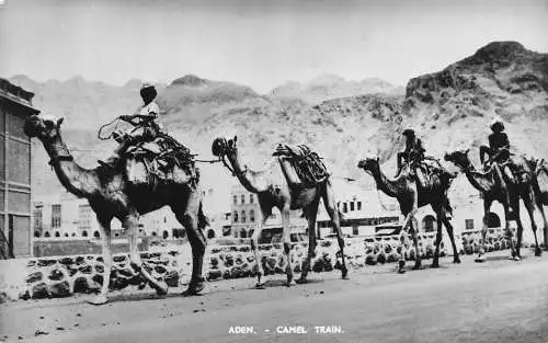 A930 Yemen Aden Camel Train RPPC Vintage Postkarte