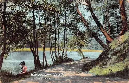 L264 Deutschland 1908 Bad Frieienwalde a O Teufelsee Wald Vintage Postkarte