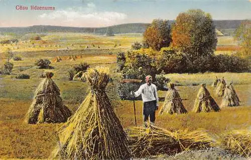 A931 Lettland Cesu lidzenums Bauernheufeld Vintage Postkarte