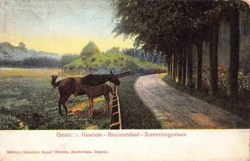 A932 Niederlande Omstr v Haarlem Bloemendaal Zomerzorgerlaan Pferd Postkarte