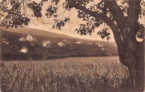 A906 Tschechien 1909 Vsenory Gesamtansicht Vintage Postkarte