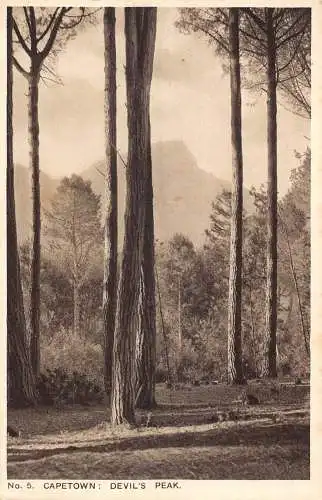 A934 Südafrika Kapstadt Teufelsspitze Wald Vintage Postkarte