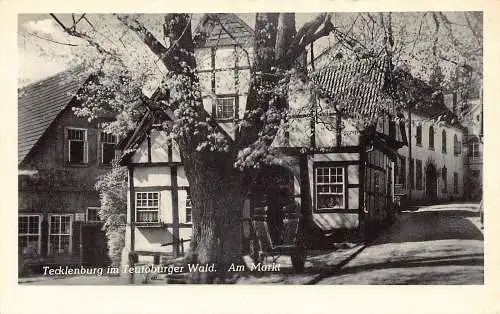 L344 Deutschland Tecklenburg im Teutoburger Wald Am Markt Baum Vintage Postkarte