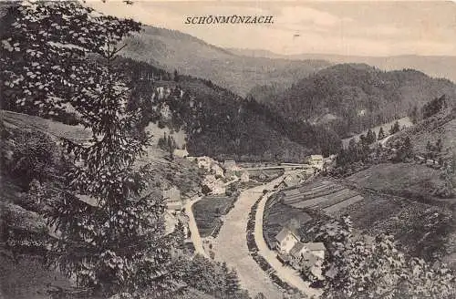 L344 Deutschland Schönmünenzach Panoramablick Vintage Postkarte