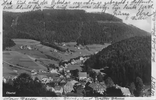 L344 Deutschland Obertal Panoramablick RPPC Postkarte