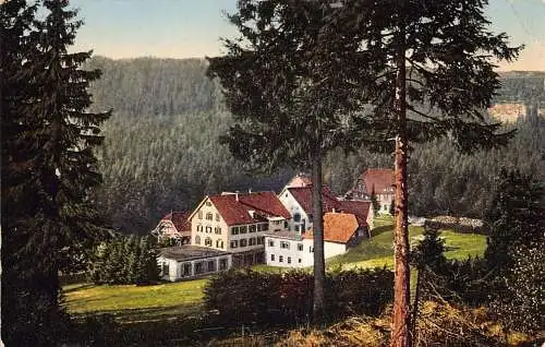 L344 Deutschland 1910 Höhenluftkurort Ruhestein Wald Vintage Postkarte