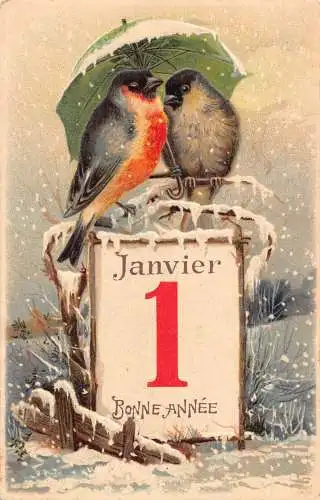 L180 Neujahrsgrüße 1905 Vögel unter Regenschirm Prägepostkarte