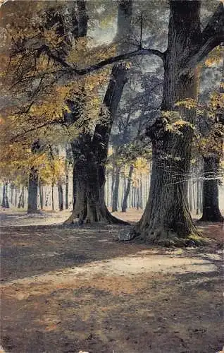 A095 Landschaft 1938 Natur Sonnenstrahlen durch Bäume Wald Vintage Postkarte