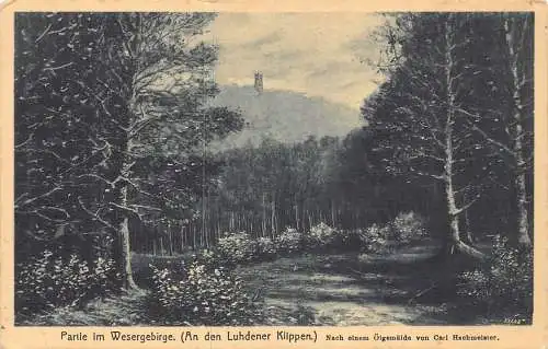 L346 Deutschland Partie im Wesergebirge an den Luhdener Klippen Wald Postkarten