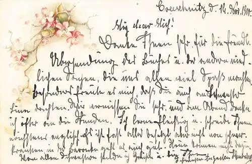 A092 Grüße 1900 Kirschblüte rosa Blumen Zweig Vintage Postkarte