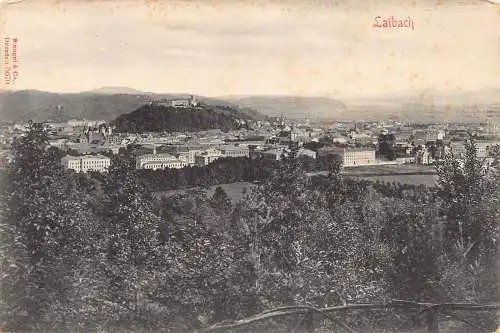 L011 Deutschland Laibach Panorama Vintage Postkarte