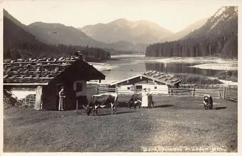 L346 Deutschland bei Ruhpoldinger See Kühe und Bauernhof Vintage Postkarte