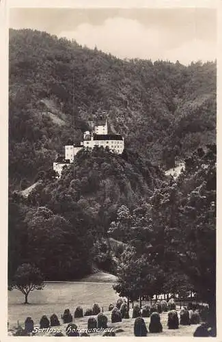 L350 Deutschland Schloss Schloss Hohenaschau RPPC Vintage Postkarte