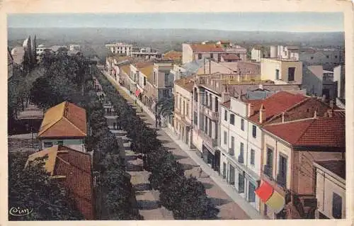 A915 Algerien Blida Boulevard Trumelet Vintage Postkarte