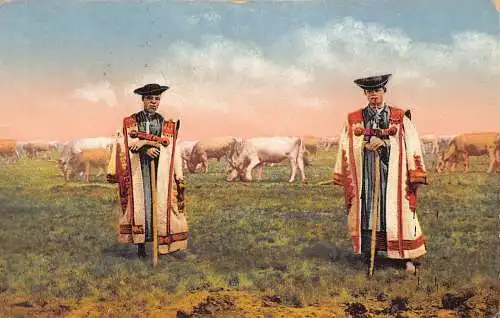 A915 Ungarn 1923 Hortobagy Tracht Hirten Vieh Postkarte