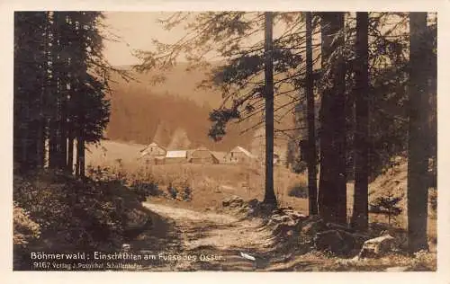 L188 Deutschland Böhrnerwald Einschichten am Fusse des Osser Waldes Postkarte