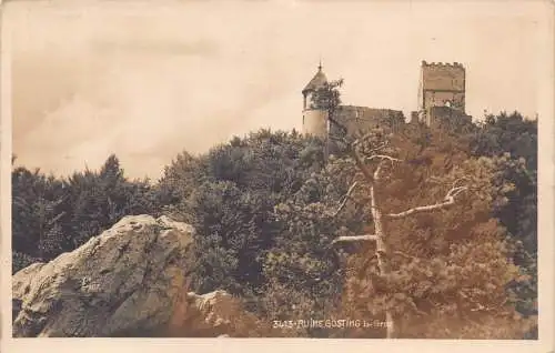 C036 Österreich, Grazer Ruine Goesting Vintage Postkarte
