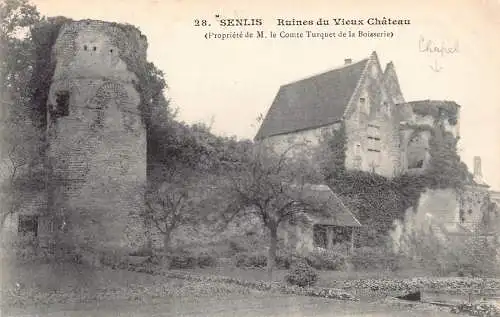 C034 Frankreich, Senlis Ruines du Vieux Chateau Vintage Postkarte
