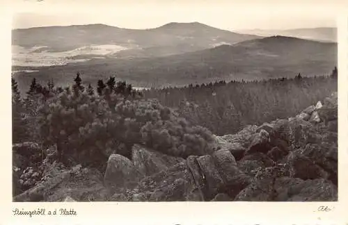 L196 Deutschland Steingeröll ad Platte Wald Berge Vintage Postkarte
