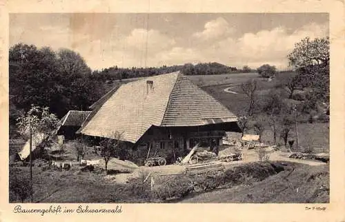 L345 Deutschland 1940 Feldpost WWII Bauerngehoeft Schwarzwald Vintage Postkarte