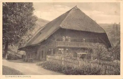 L345 Deutschland 1916 Feldpost 1. Weltkrieg Schwarzwaldhaus Vintage Postkarte