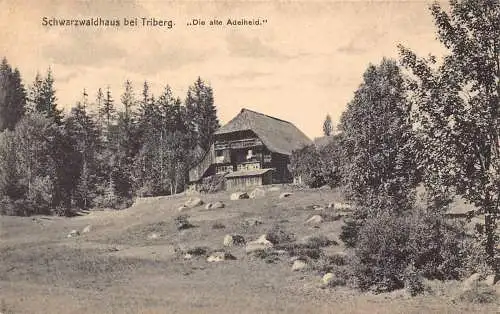 L345 Deutschland Schwarzwald bei Triberg Die Alte Adelheid Haus Vintage Postkarte